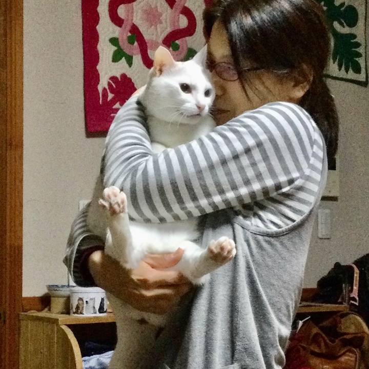 7eed2bb8 53da 410f 847f 36cbc112236a 1608820415716