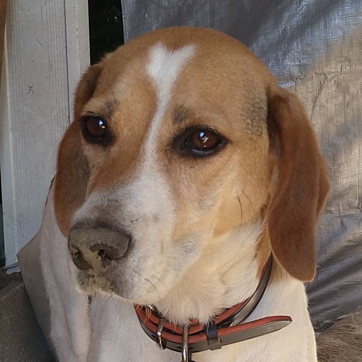 7eed5698 5140 4419 b217 5075b3f81444 1626851052133