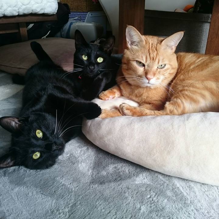 7eedaa68 42e0 4335 a29f 9bfcebe023af 1514867225834