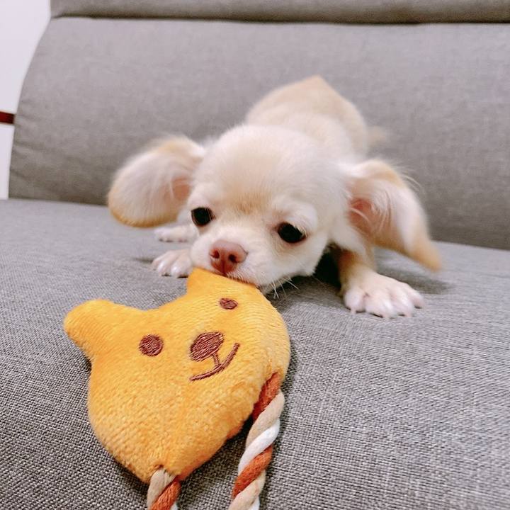 7eedb6bc 5134 4eb4 bda1 bd323c2ed31c 1593056030457