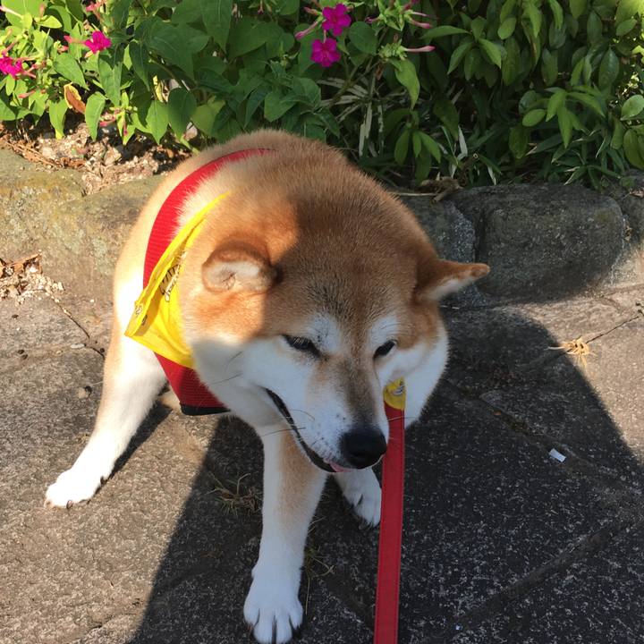 7eedce8f 70e3 4e89 965d 3065d6649ccb 1597963992817