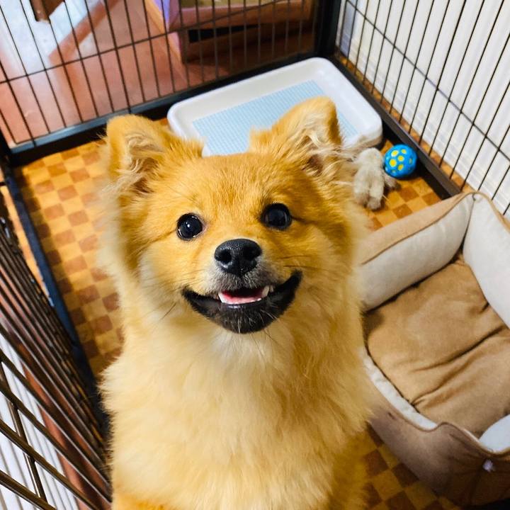 7eedcf5a f273 43cf 8b00 d0f52f095bd3 1587090487330