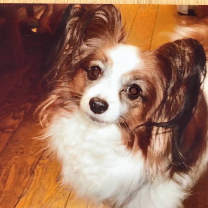 7eedd23a 0dcb 4ec5 8407 17010269ef10 1522482600021