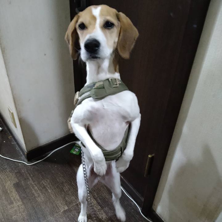 7eedf34d 9576 4630 a57f b1bbf6329ddb 1673515188884