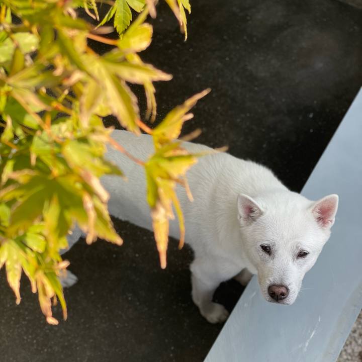 7eee0516 227a 4386 a0e9 f9d7dfef4136 1700049099277