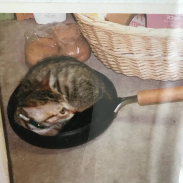 7eee1522 f49f 40ef 8a0d 512999604a35 1517885817333