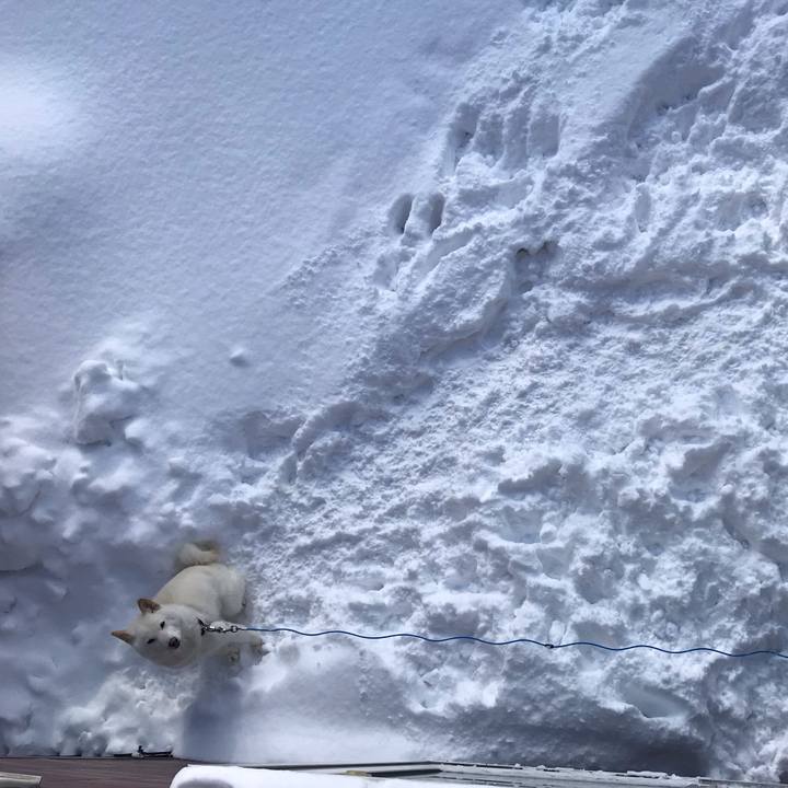 7eee409b fe4c 437c 887e a3f861722fdf 1548652059017