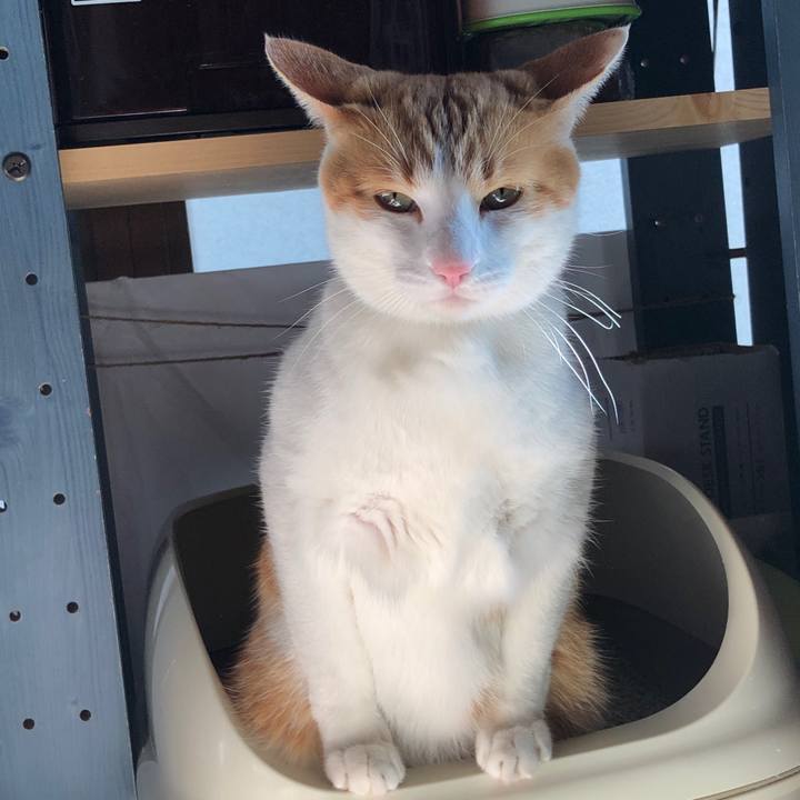 7eeeeec1 e63f 4b26 aa24 dae928a9785e 1545311738490