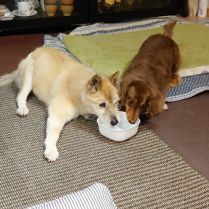 7eef1d16 e3d4 4d6e 96e3 938196cf24b2 1650897853776