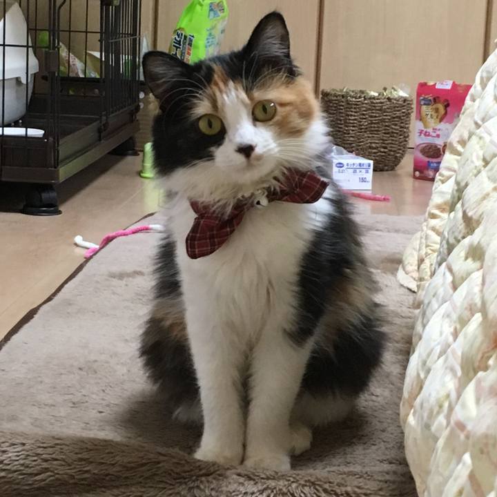 7eef5bd9 d007 4b07 864a bf52c91aa5c4 1515383993587