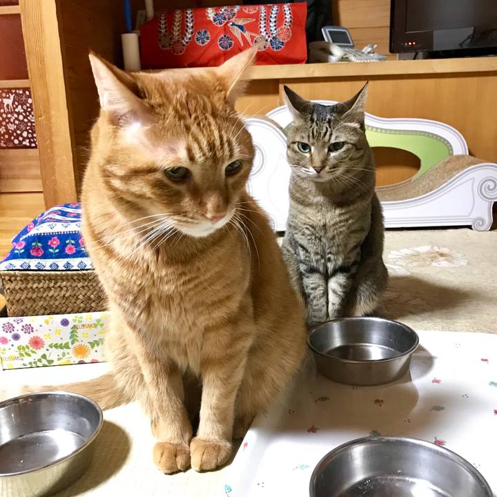 7eef6317 f883 4a76 84fe 21732592166a 1542633220294