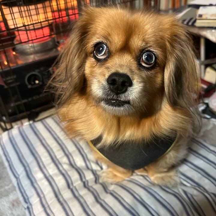 7eef852e e572 406c 8699 39c7a3423398 1701638486979