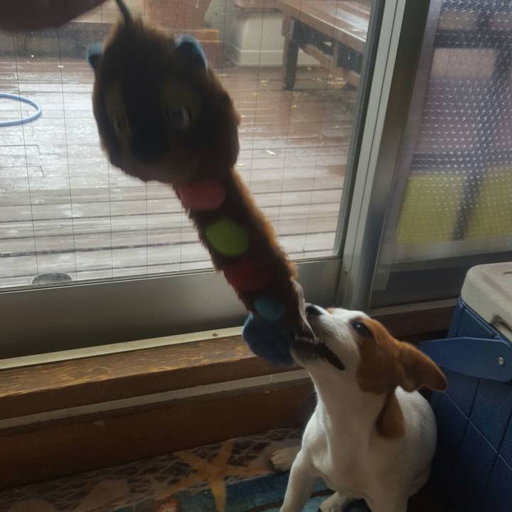 7eef96f1 cbf0 4009 8cdb 3080937a7377 1557805414155