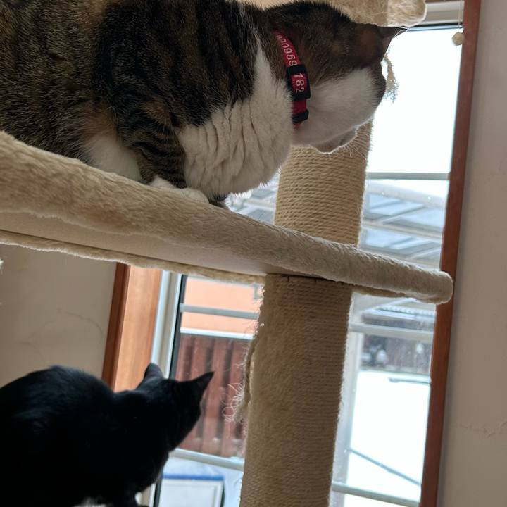 7eef987e 69c0 43d0 891d 63e0c291a844 1671752532129