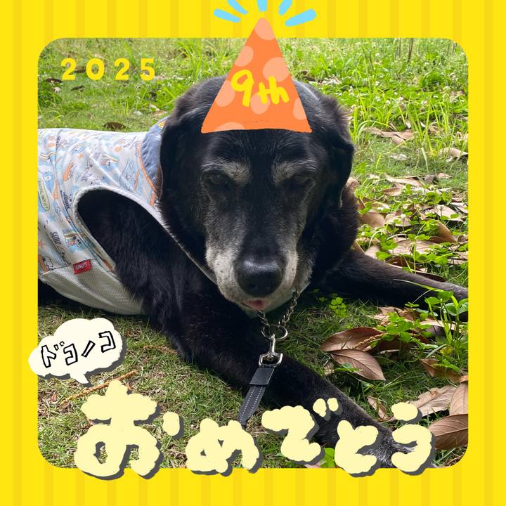 7eefa0cc b76e 4d59 979c fb36a86827e7 1749600602060