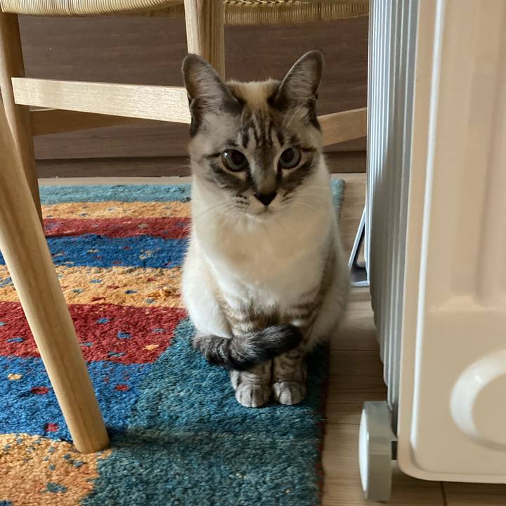 7eefe691 d1d0 4161 ad37 c4ac1b288368 1609116188523