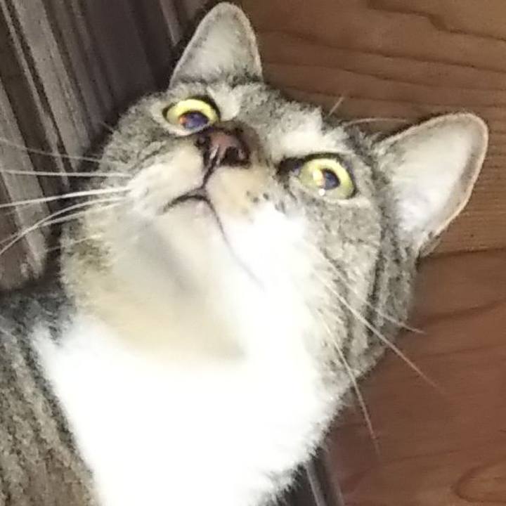 7ef005ae 9c57 462d 9692 b4ab2893d294 1603503334158