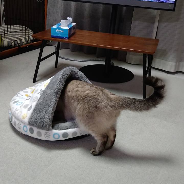 7ef00e31 1260 495c a2a1 8b6635acd33f 1633952226057