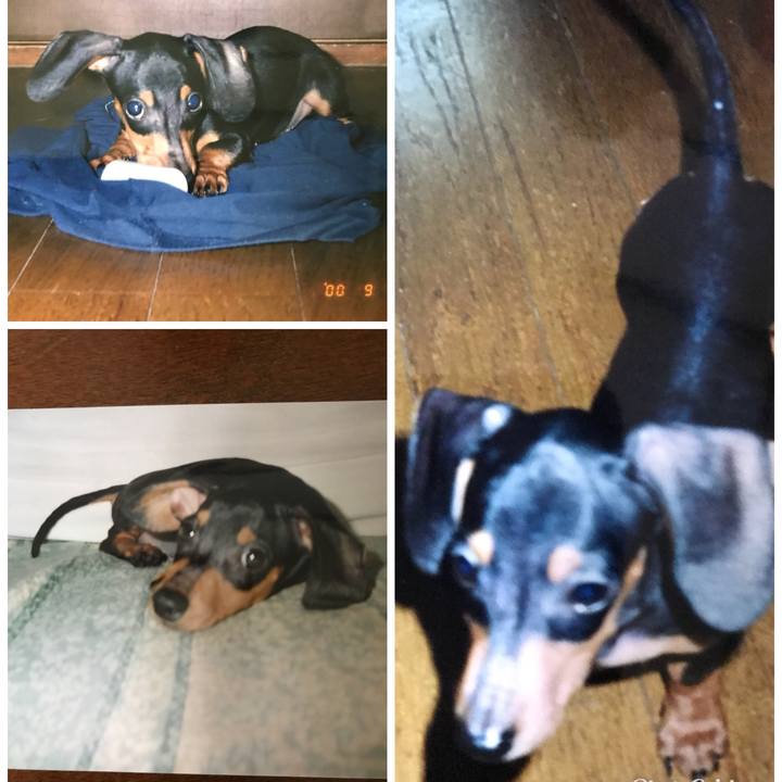 7ef07db9 a8eb 4b99 b2e1 3cf5c6a0815d 1527597471958