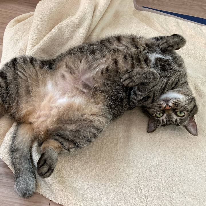 7ef08ced cd93 40ca 881f c8d5305e497c 1627977446886