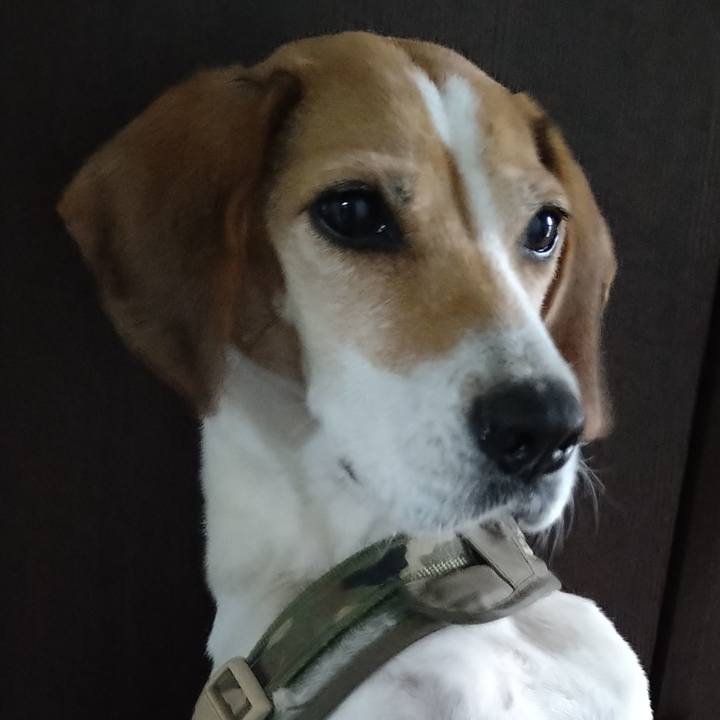 7ef0d364 2eaa 495b 9bef 69444252d9f5 1671802292632