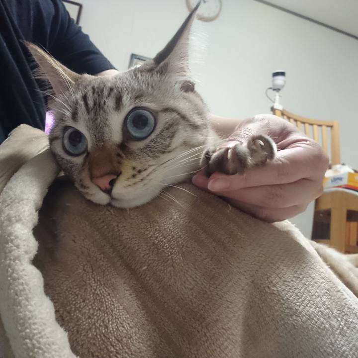 7ef0e212 c9bc 490a ad76 3a104a5aaa04 1572357538503