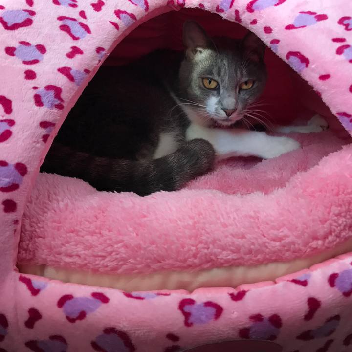 7ef0e815 2b71 43c6 9203 46a1aa2543e8 1509058144284