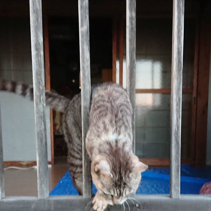 7ef1441d 9bb6 43c7 b28d 04471bd4445c 1561455996974