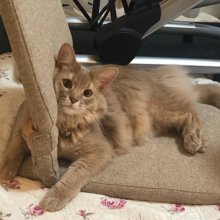 7ef15a88 2f62 4780 8ebd 0963186b643c 1609338470745