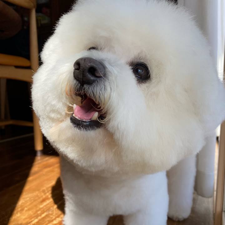 7ef178a3 5901 44b0 bcea 2955b109c257 1644295318601