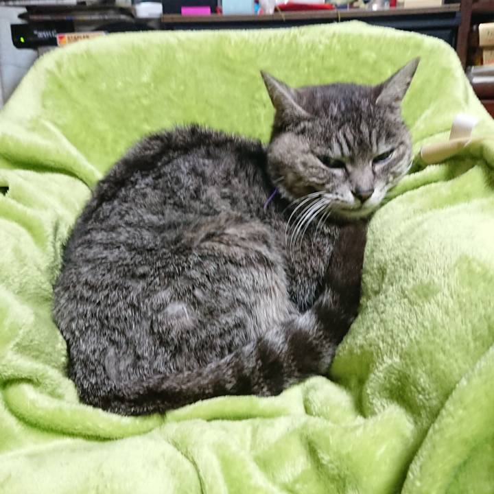 7ef180cd 6edc 42eb af4b fcfc2171736e 1583833100298