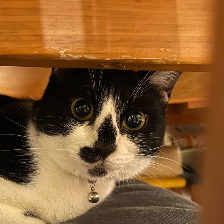 7ef196a4 1248 4f84 9fe5 58b53ec7fe22 1753494267527