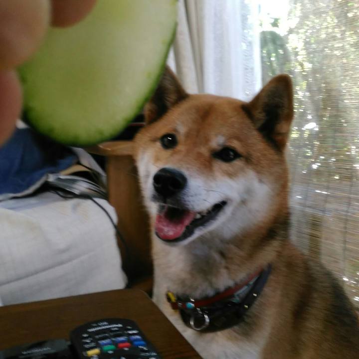 7ef19ea7 1258 44a3 a3c4 d2d9391edd58 1530326423550