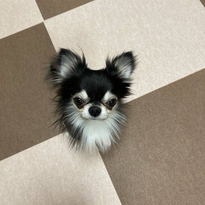 7ef1bf55 91b4 472e 8b74 f13b4edbfda3 1638021832029