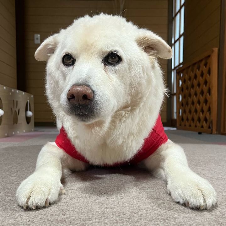 7ef1c873 662a 46b8 8faa 15d30896601d 1765498553818