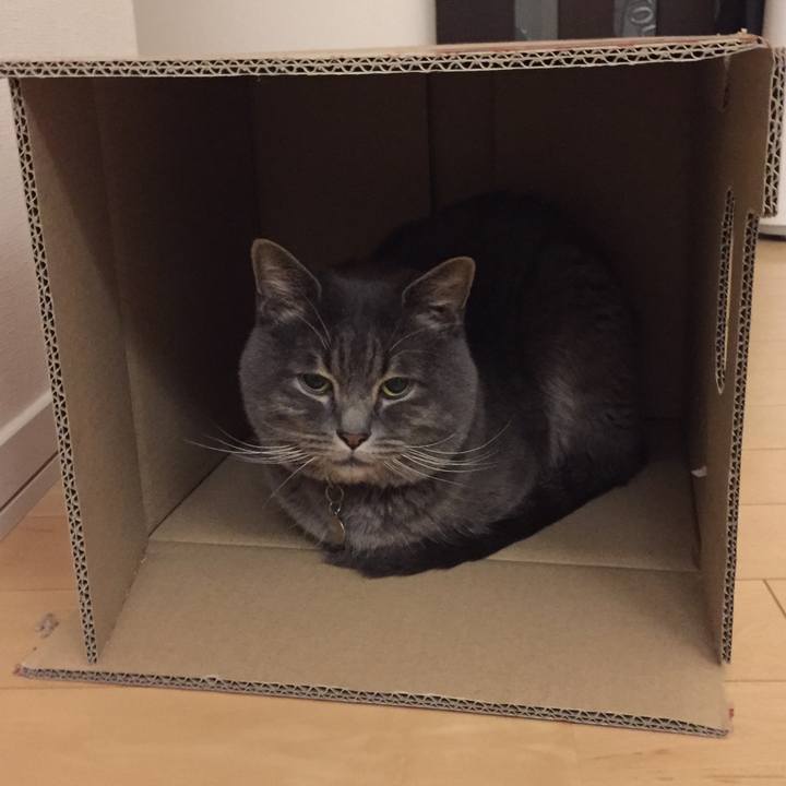 7ef208a8 f341 41e0 ac69 fd7f5684c744 1541546627168