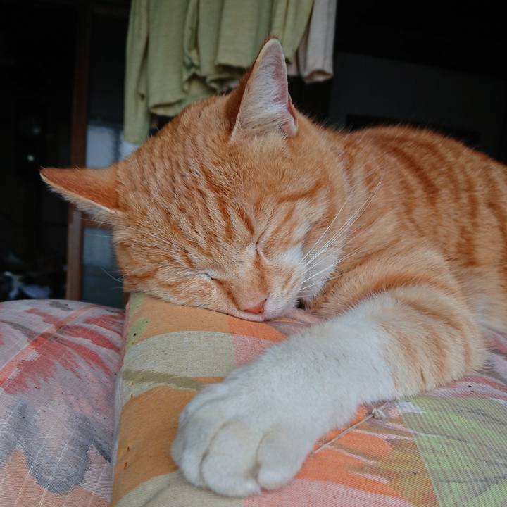 7ef21cdd 9650 4ab4 a368 2c2360170490 1582353995317