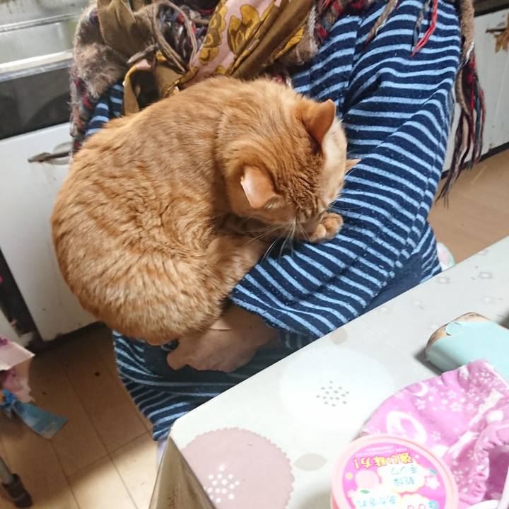 7ef22a9f cb95 4141 9a1a a29b54cae826 1644789053478