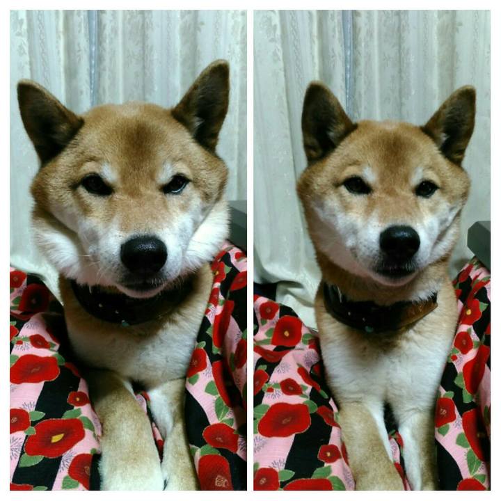 7ef24a90 b67f 45e4 9f98 57089e6005ad 1553337904158