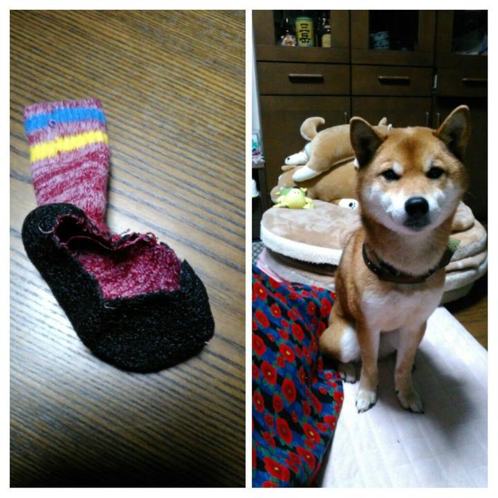 7ef258bb 8d91 4e37 b9d8 299aaa2b56a8 1517815995851