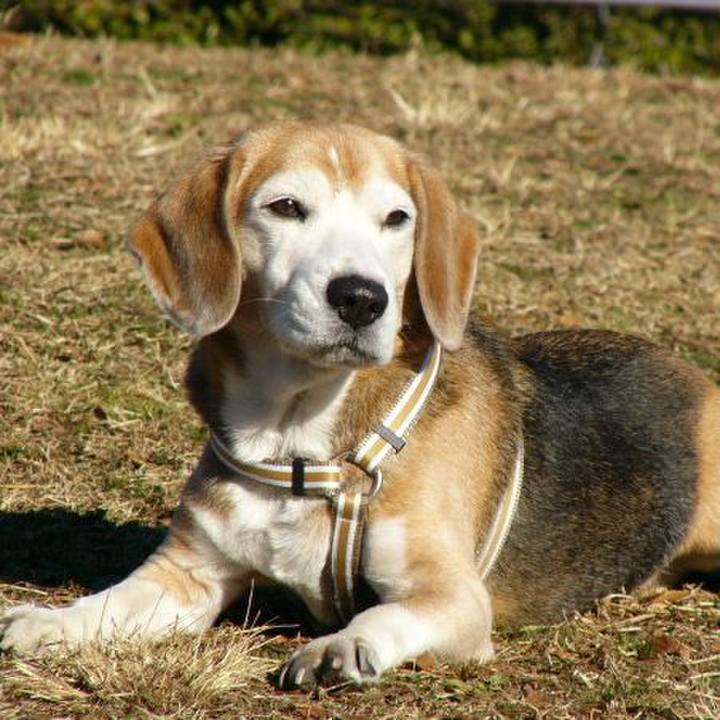 7ef27d31 b0d6 41aa b02b 020bfc3dcf26 1648289205520