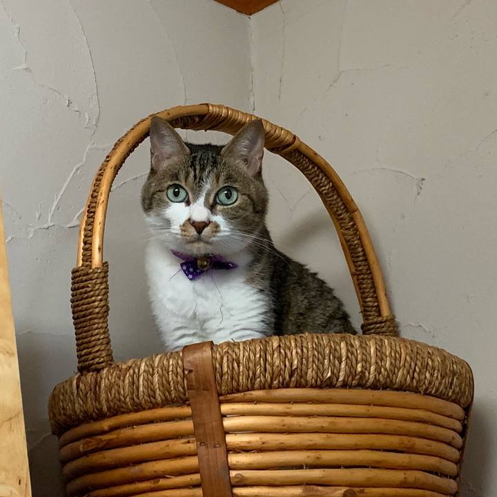 7ef281d1 6e62 4559 9d19 8e37bd2b65d8 1563979699580