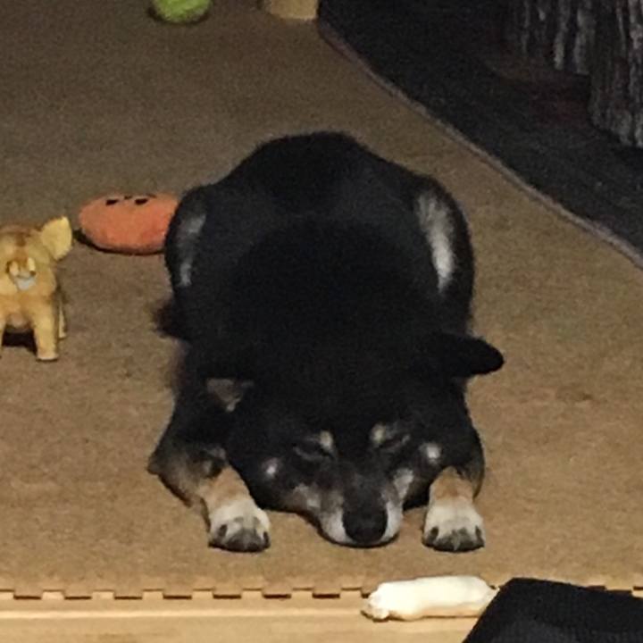 7ef2838e dd71 4868 bf70 cb3b1a03bb98 1509961273528