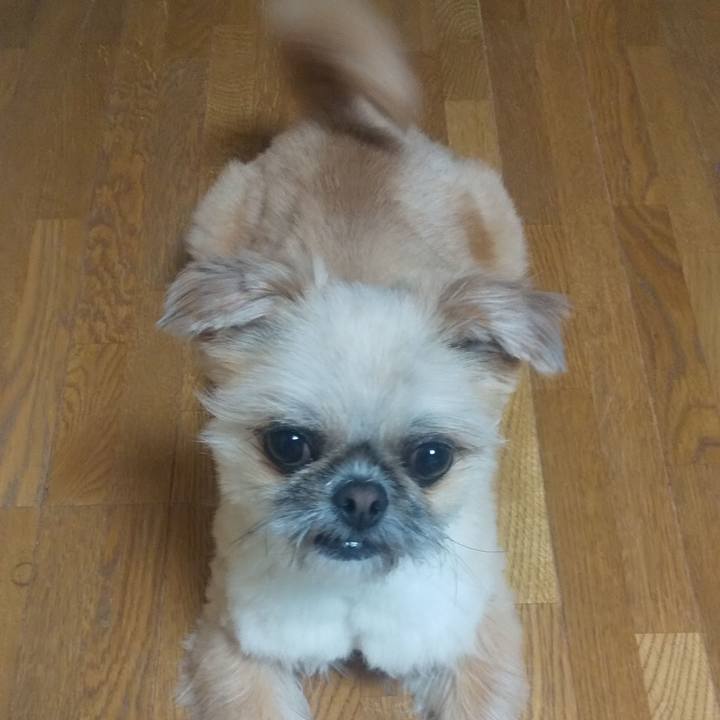 7ef284a2 6149 4371 8aae 3a7ad33e0ea1 1707989201961