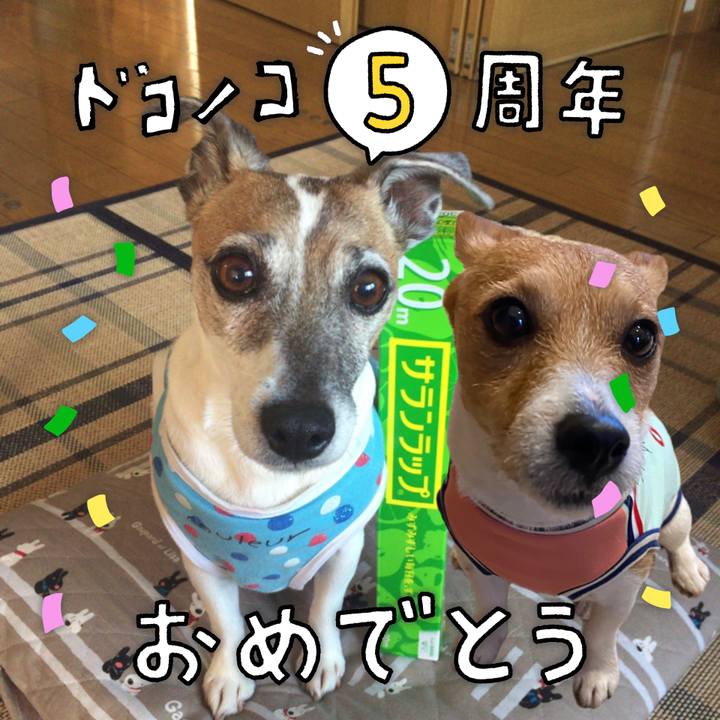 7ef28cc5 25e0 4ab6 b8e7 341fad946733 1622853334438