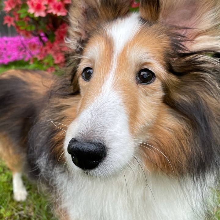 7ef298f7 124d 4bf9 bc6e 7da509b09329 1621754051780