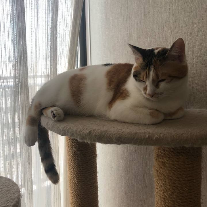 7ef29fd7 815f 42ea b735 b29e6a0acbf5 1589089296210