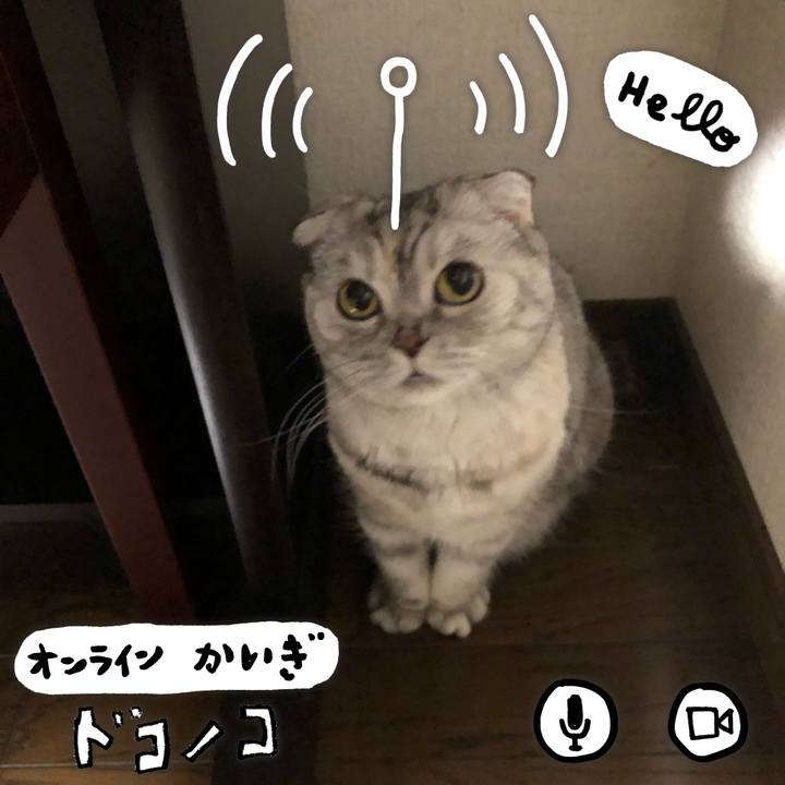 7ef2a18f 66df 4c20 b16a 98ead687157f 1590748349179