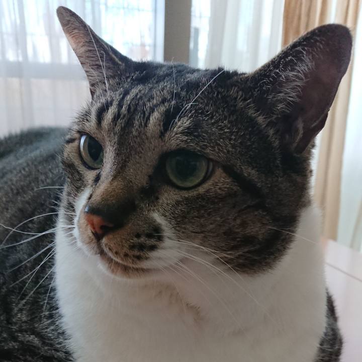 7ef2a1f3 7df7 4c36 916c 42172d2b32de 1565994513985