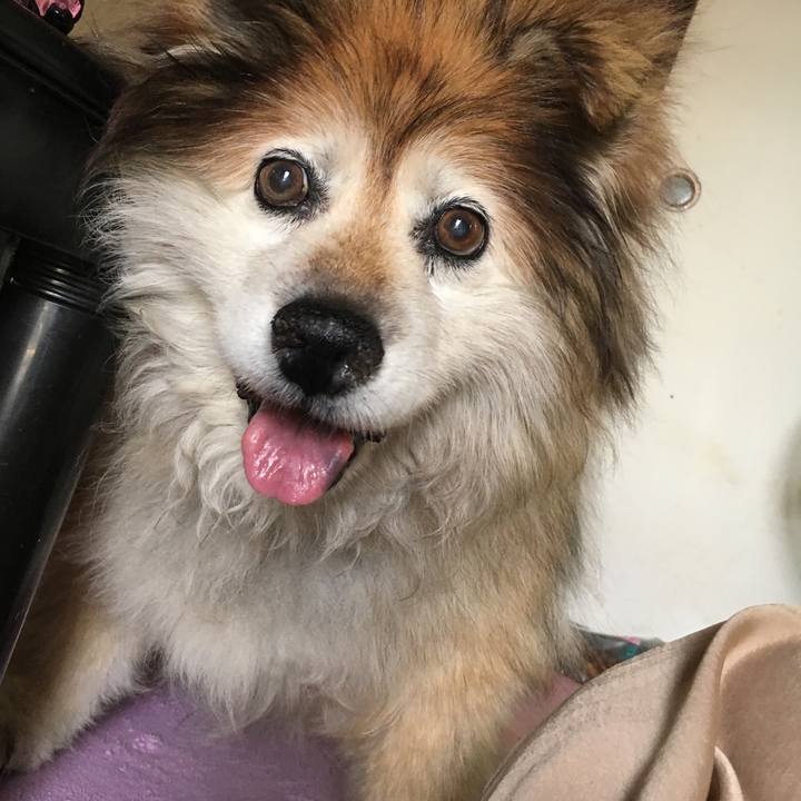 7ef2f35c f606 47c3 96cf 713f53798e96 1621866140819